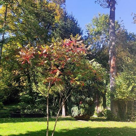 Pavillon C.R Bed and Breakfast Isles-sur-Suippe Buitenkant foto