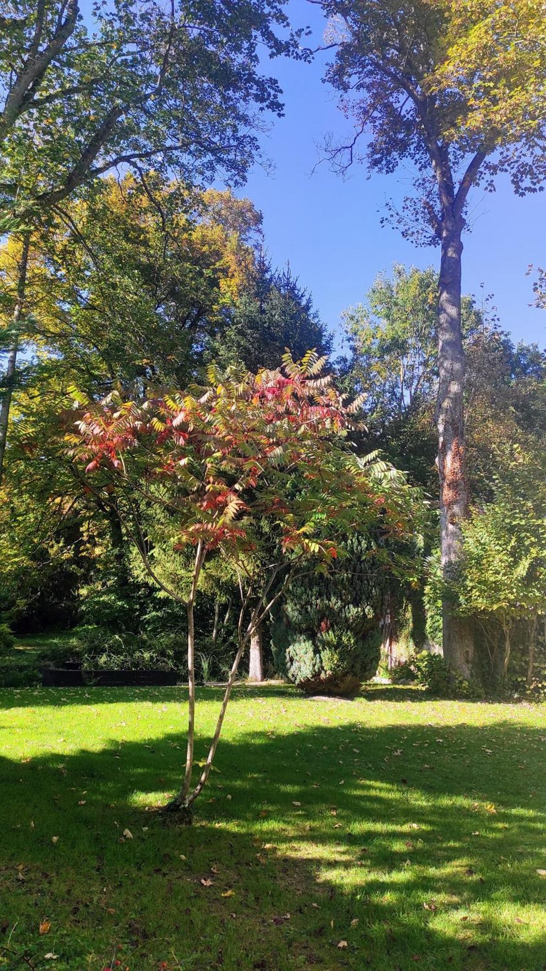 Pavillon C.R Bed and Breakfast Isles-sur-Suippe Buitenkant foto